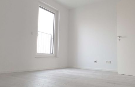 cd2b1f09-1037-4fe2-8cf0-290d6630d9f9-1356907706