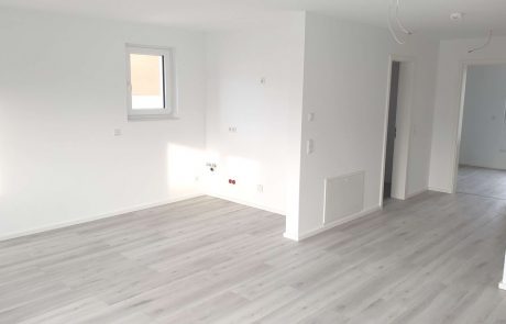 e92289d2-4758-4bcc-a990-a180227f49d5-1356907726